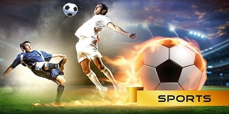 Dữ Liệu Phân Tích Chuyên Sâu Từ Thể Thao 13WIN